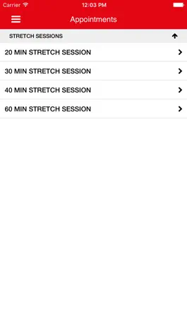 Game screenshot Stretch S hack