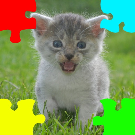 Kitten Jigsaw Puzzles icon