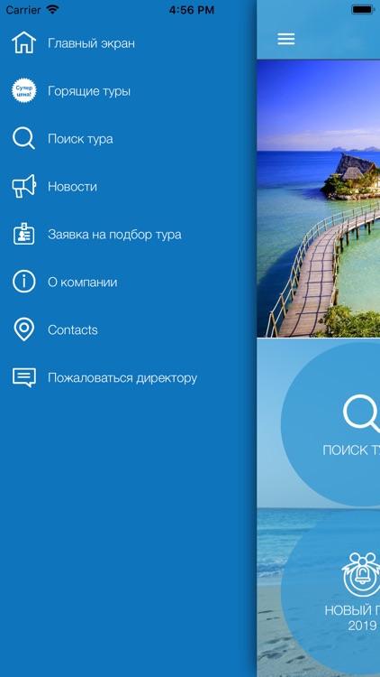 Горящие туры Скайлайн screenshot-3