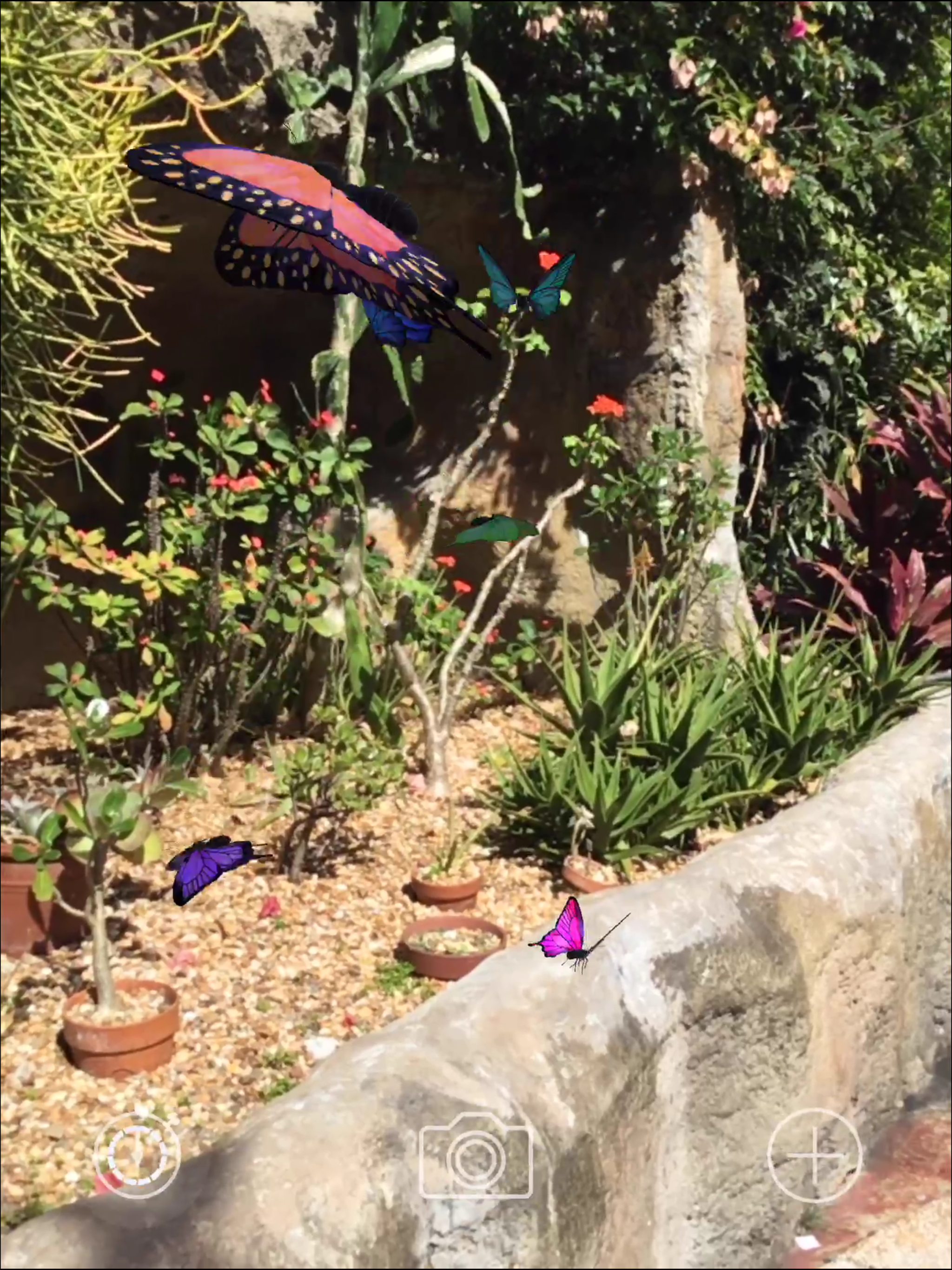 AR Butterflies screenshot 8