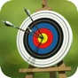Archery Target Master Pro app download