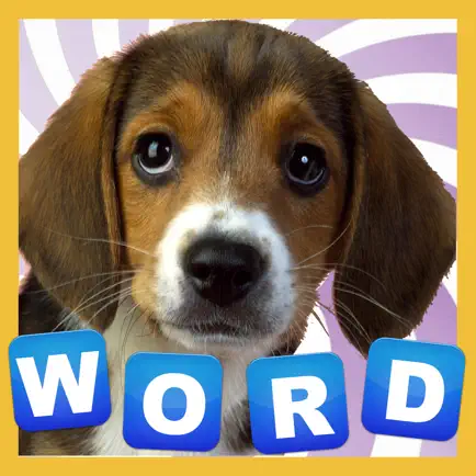1 Pic Guess 1 Word Читы