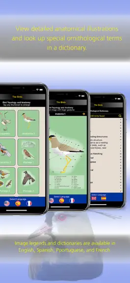 Game screenshot The Birds of Uruguay hack