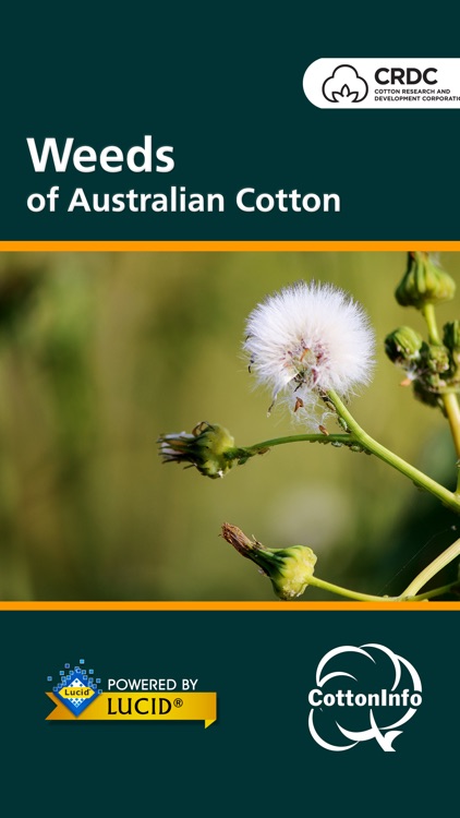 Weeds of Australian Cotton