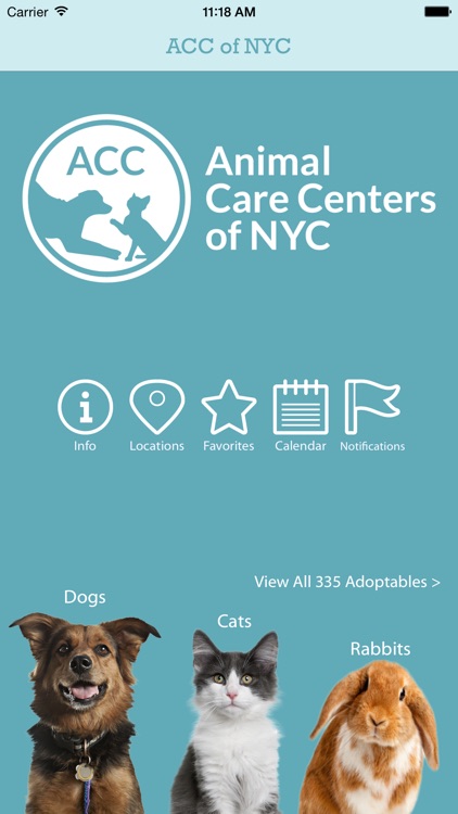 ACC of NYC