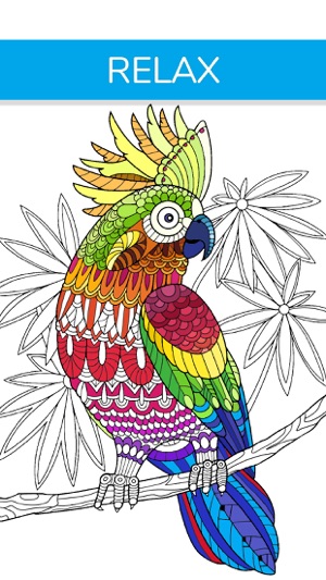 Adult Coloring Book | Animals on the App Store Adult Coloring Book | Animals on the App Store
