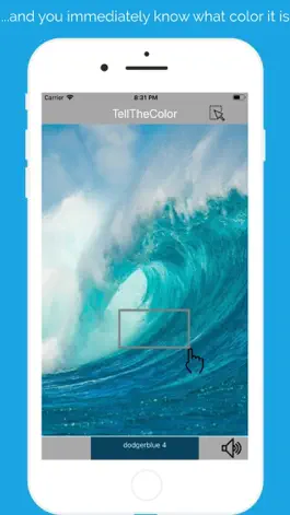 Game screenshot TellTheColor apk