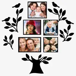Family Tree: Photo Frames app icon