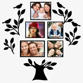Family Tree: Photo Frames icon