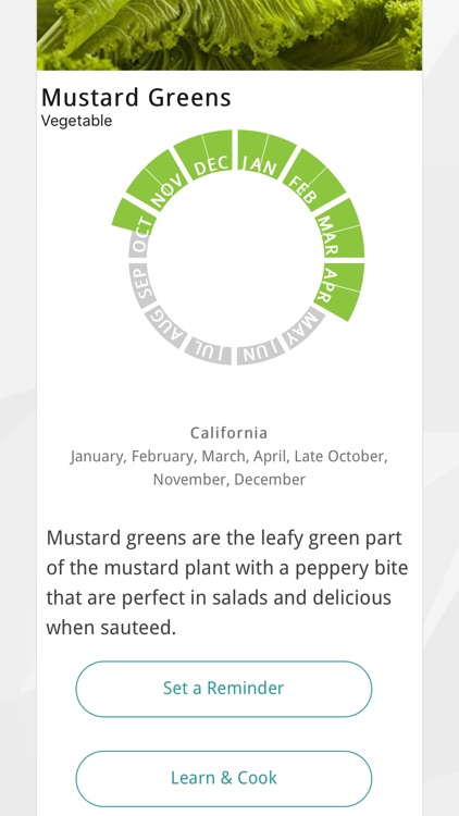 Seasonal Food Guide