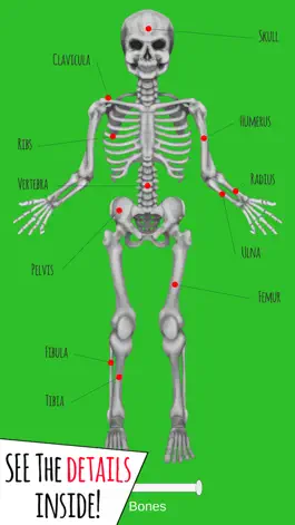 Game screenshot Inside The Human Body PREMIUM mod apk