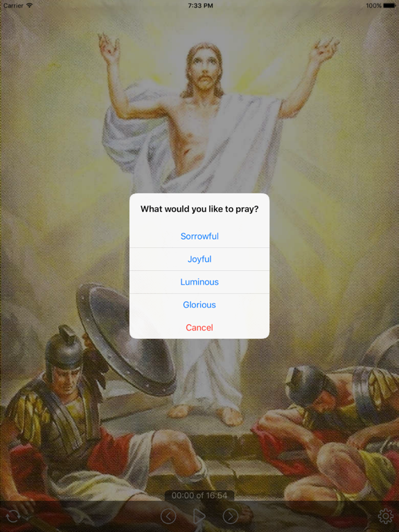 Holy Rosary - Standard Edition iPad screenshot 4 - Lifestyle app