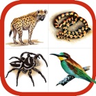 Top 26 Reference Apps Like Wildlife Southern Africa - Best Alternatives