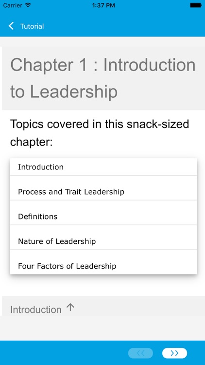 Leadership 101 screenshot-3