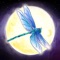 The Dreamscapes App contains a multitude of symbolic and metaphorical interpretations for dreams, visions, trances and natural circumstances