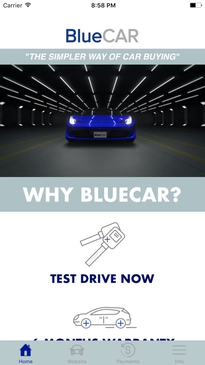 Blue Car Inc,