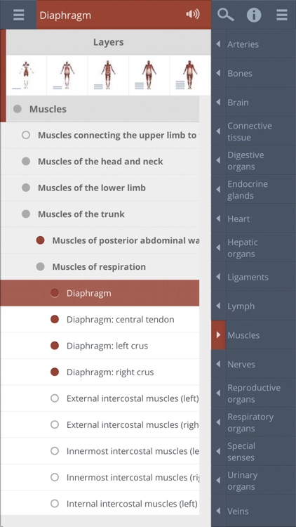 Whole body: 3D real-time