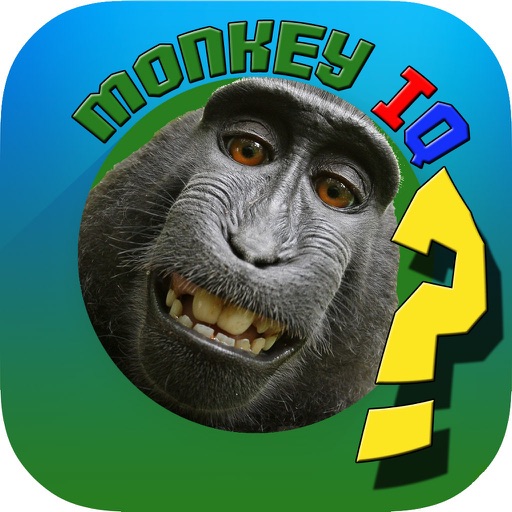 MonkeyIQ