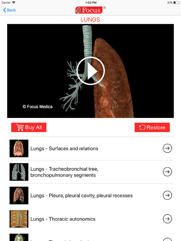 Screenshot #5 pour LUNGS - Digital Anatomy
