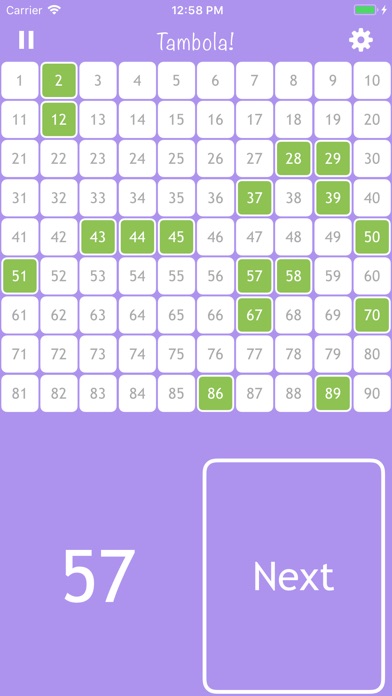 Bingo-Tambola Pro screenshot 2