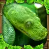 Snake Simulator problems & troubleshooting and solutions