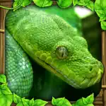 Snake Simulator App Alternatives