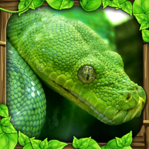 Snake Simulator iOS App