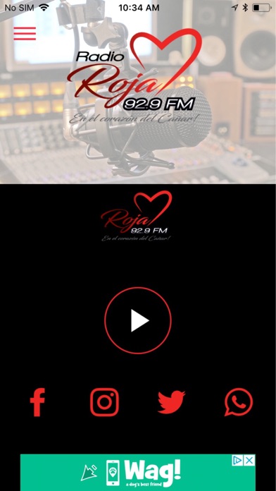 Radio Roja Canar screenshot 4