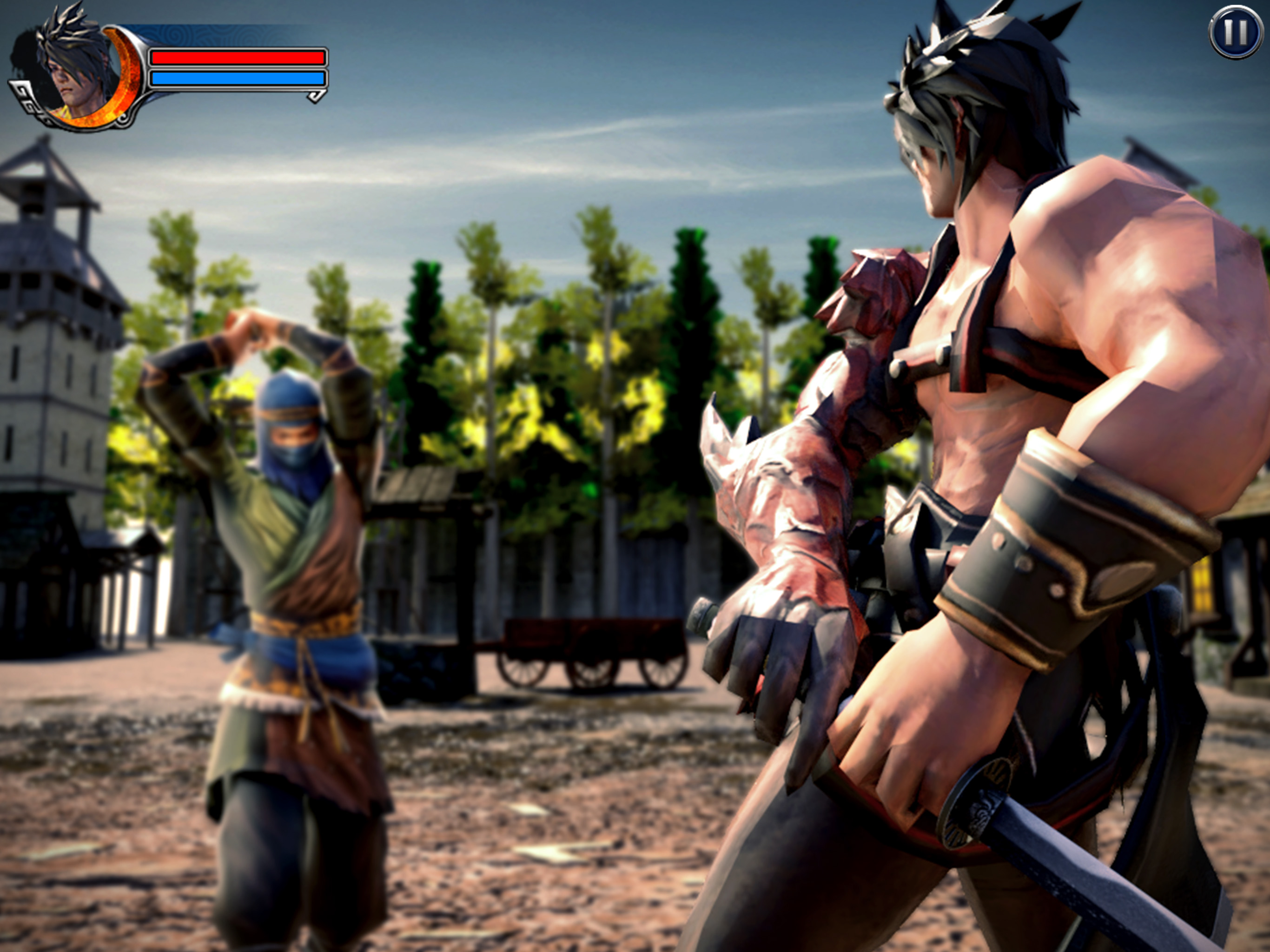 Ninja Assassin: Samurai Creed