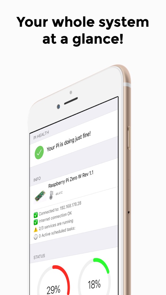 #1. Raspberry Pi. (iOS) 由: Niklas von Weihe