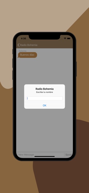 Radio Bohemia(圖3)-速報App