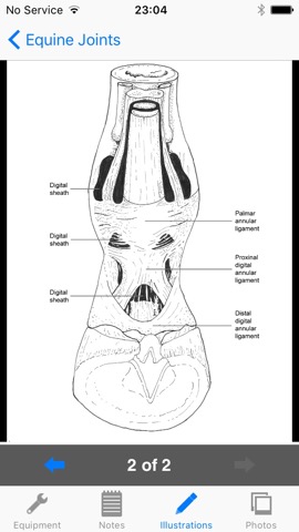 Equine Joint Injectionsのおすすめ画像1