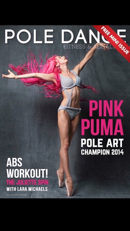 Pole Dance Fitness Aerial Arts