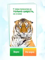 Правда или ложь: да или нет айпад изображения 1