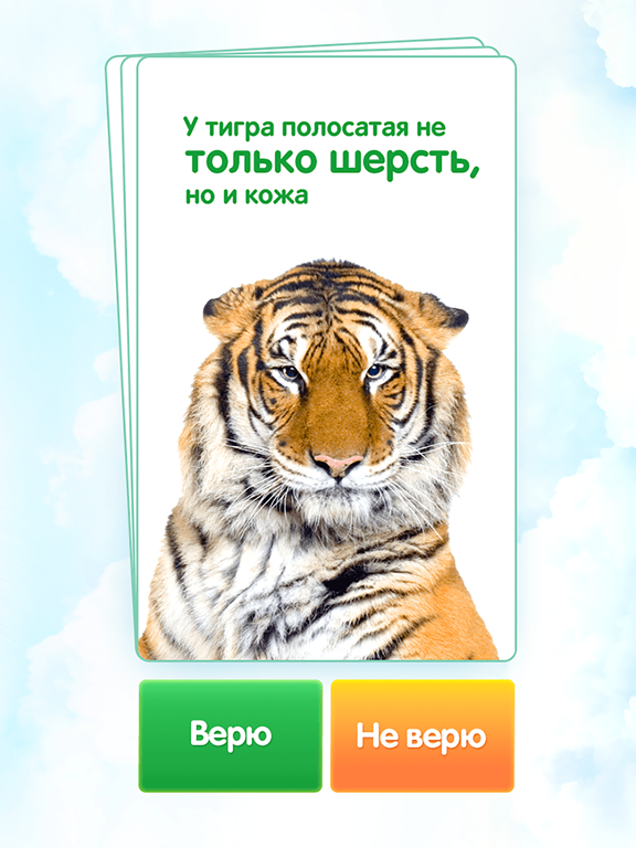 Screenshot #4 pour Правда или ложь: да или нет