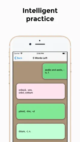 Game screenshot Relego: AP Latin Companion apk
