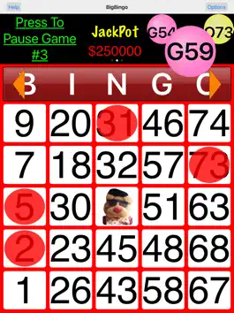 Game screenshot BigBingo apk