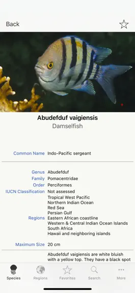 Game screenshot Fishes, by Reef Life apk