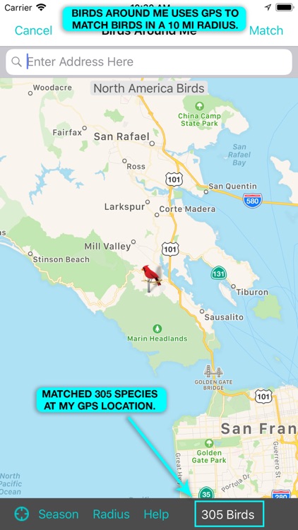 iBird Pro Guide to Birds screenshot-3