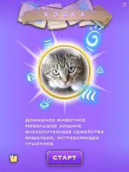 book-man айпад изображения 2