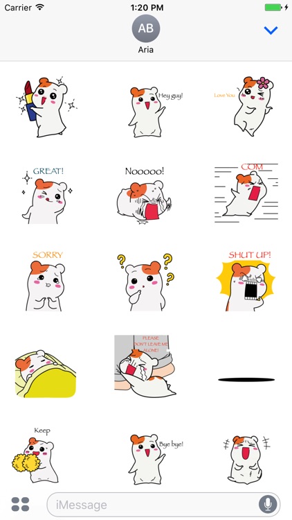 Animated Black Cat, Hamster, Summer Things Sticker