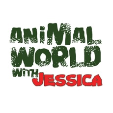 Activities of Animal World with Jessica