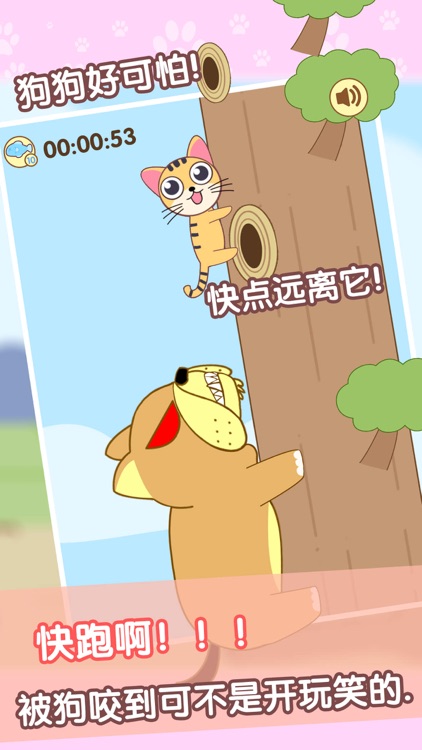 猫仔大冒险~Cat Adventure