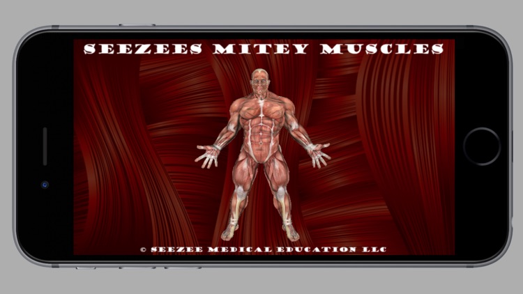 Seezees Mitey Muscles Actions