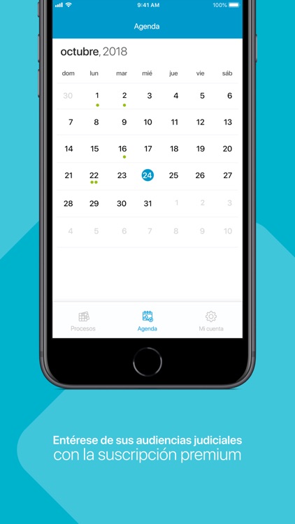 Litigiovirtual screenshot-5