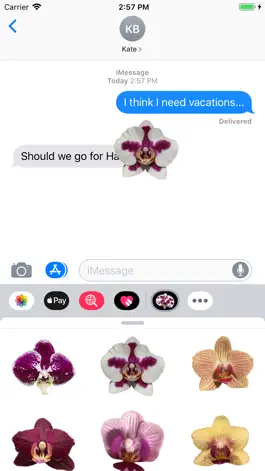 Game screenshot Real Orchid Stickers apk