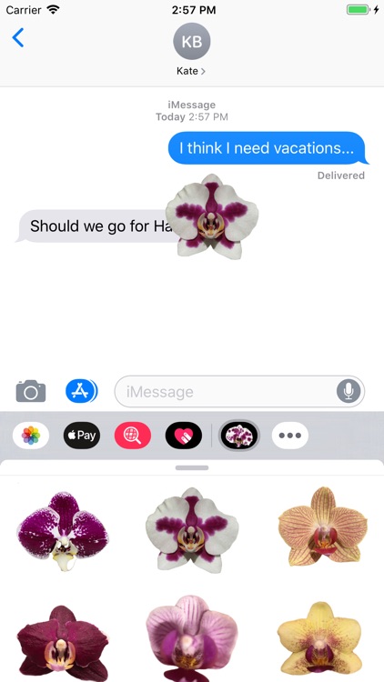 Real Orchid Stickers