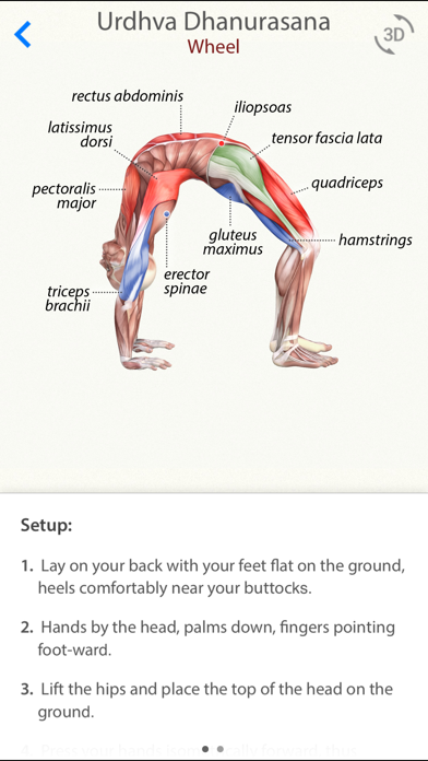 3D Yoga Anatomy Lite Screenshot