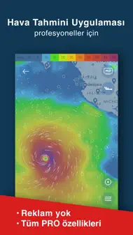 WINDY PRO - Hava Tahmini iphone resimleri 1