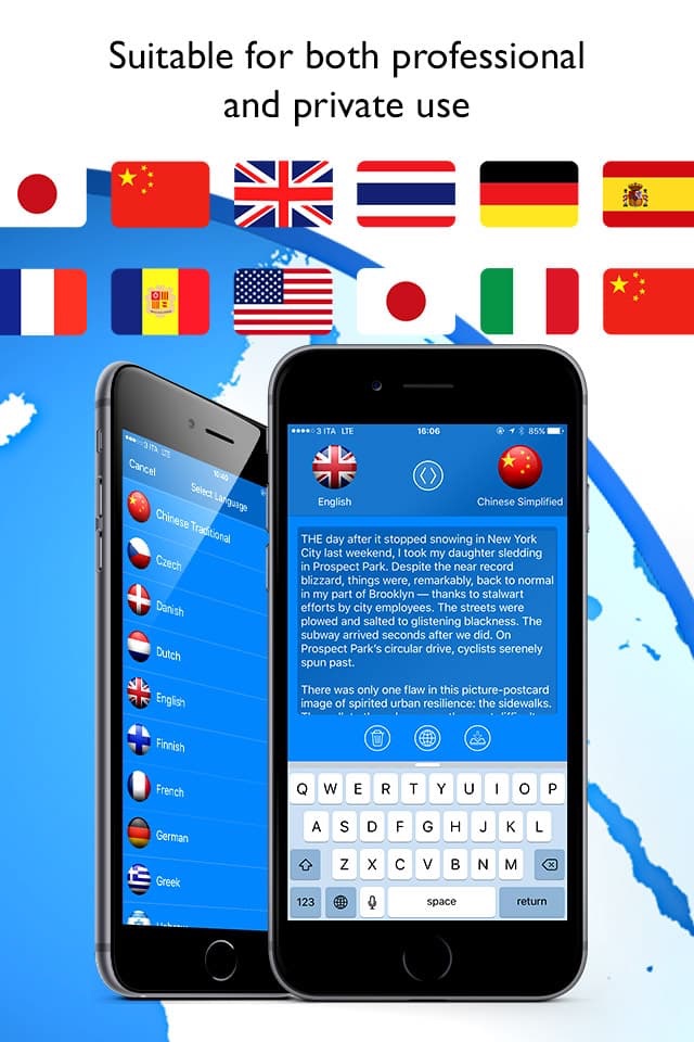 Web Translator Professional screenshot 3